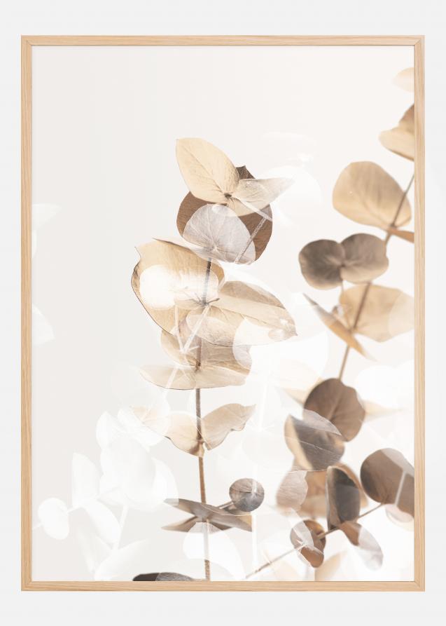 Eucalyptus Creative Gold I Plakat