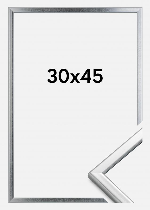 Ramme Slim Matt Antirefleksglass Sølv 30x45 cm