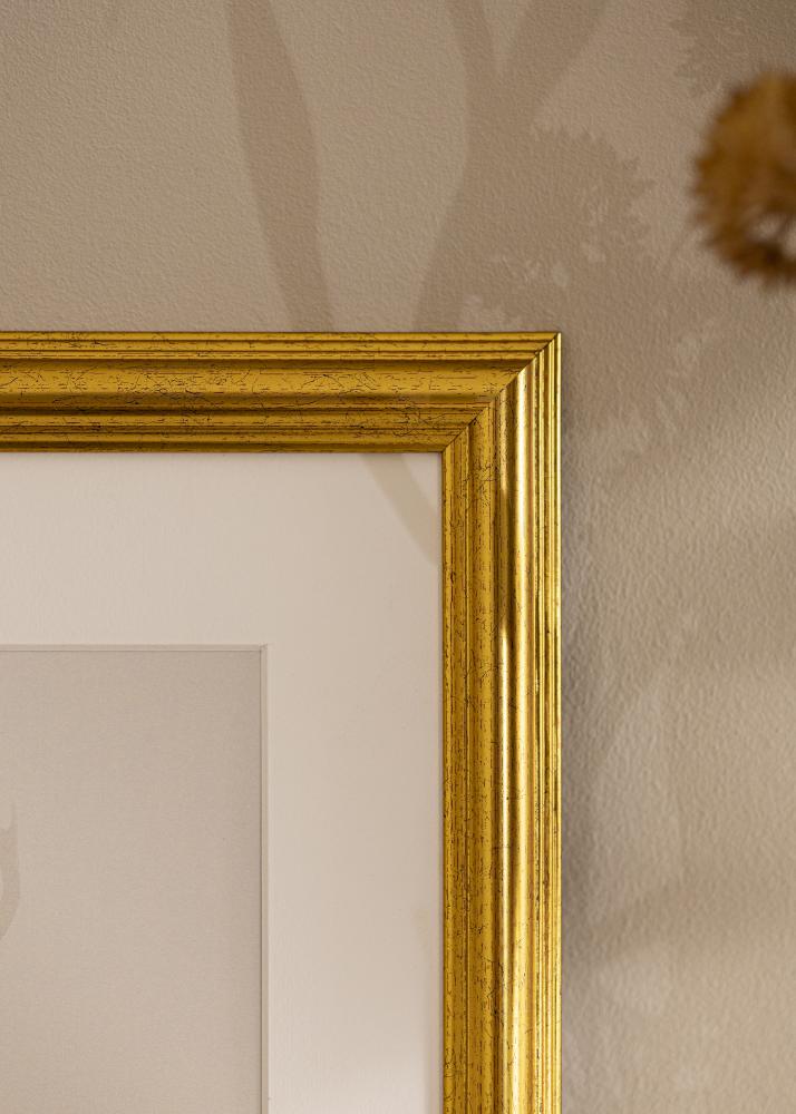 Ramme Vstkusten Akrylglass Gull 40x60 cm