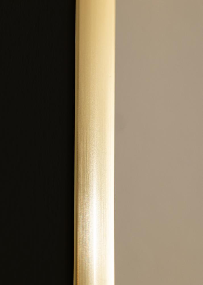 Ramme New Lifestyle Shiny Gold 70x100 cm - Passepartout Svart 59,4x84 cm (A1)