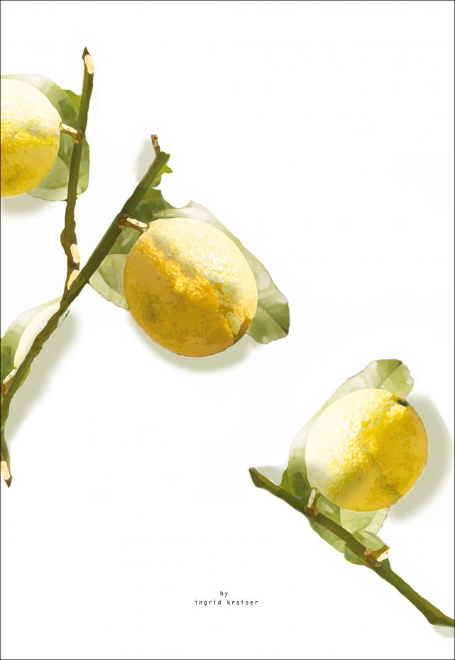 Lemons Plakat