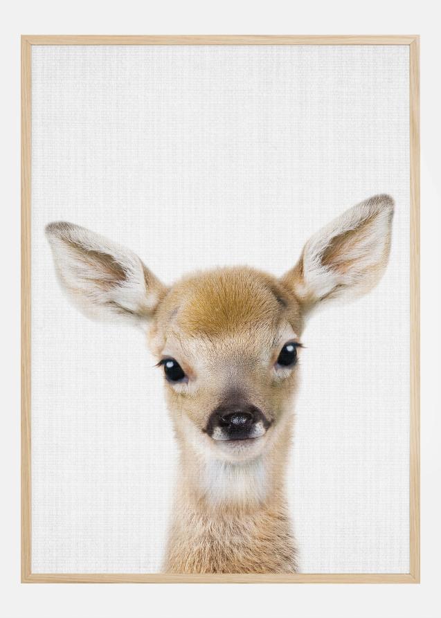 Peekaboo Baby Deer Plakat