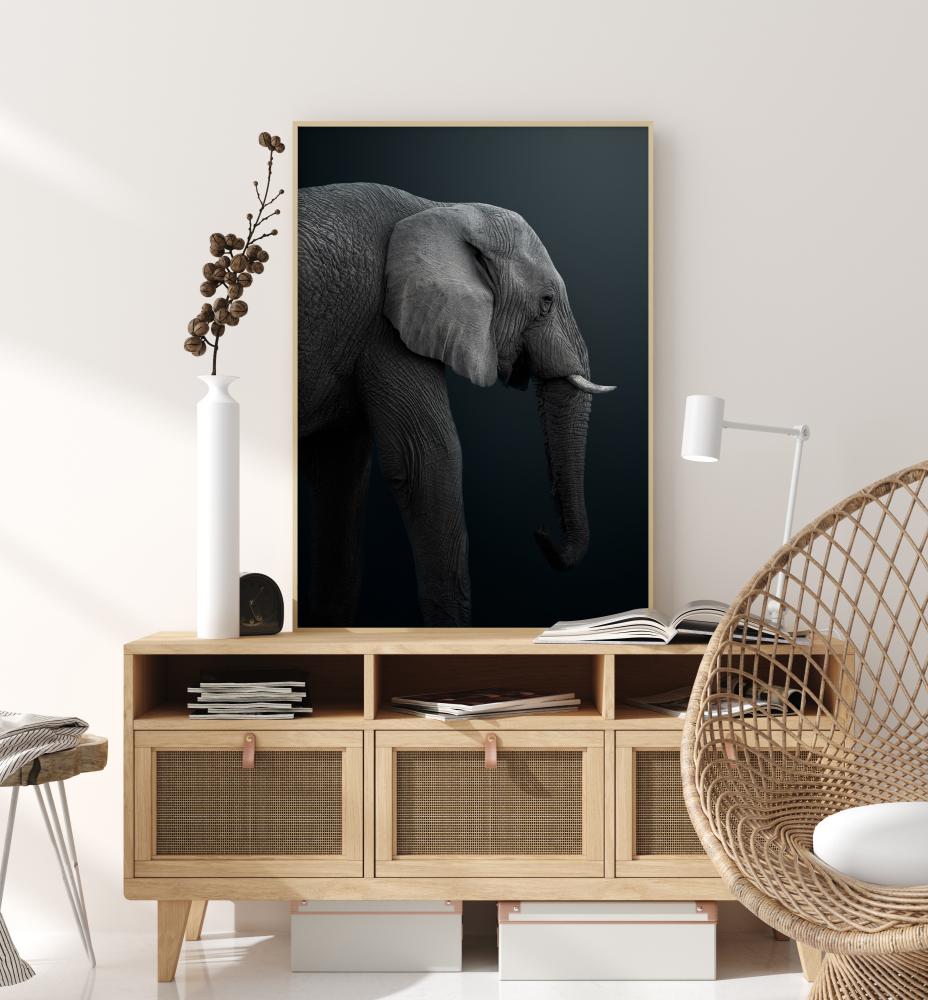 Namibian Elephant Plakat