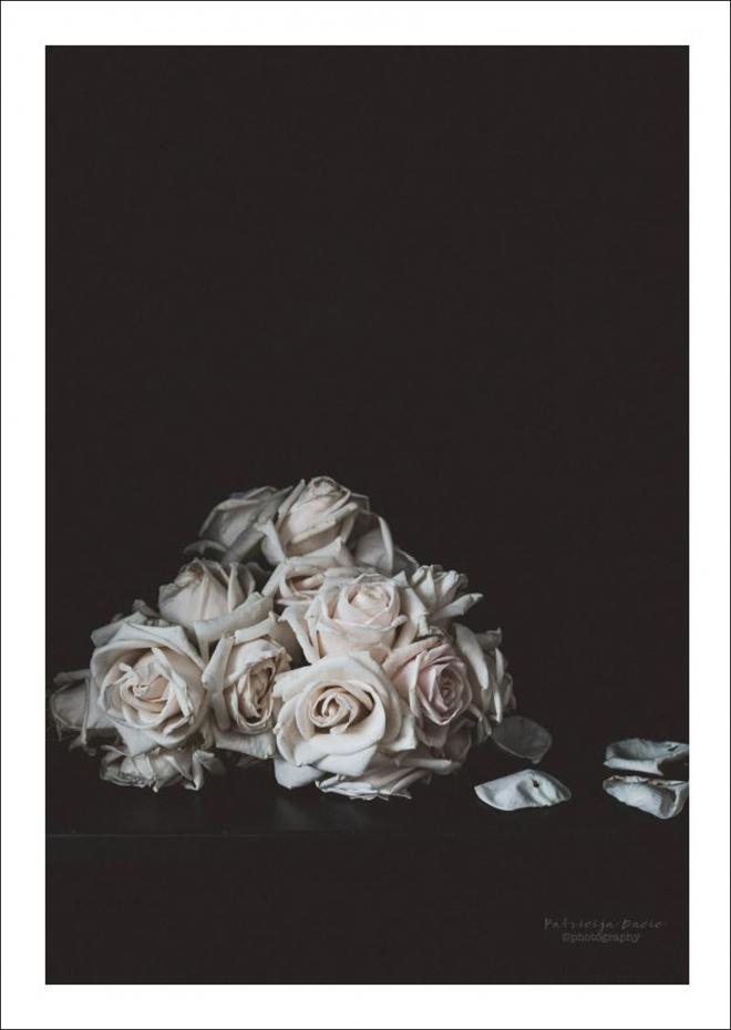 Patricija Dacic - Faded Roses - 50x70 cm