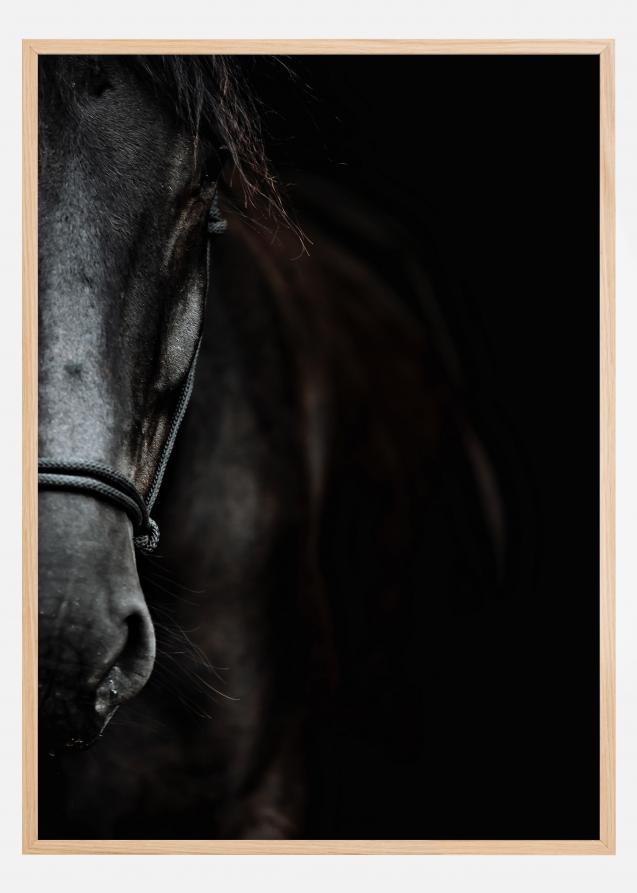 Dark Horse Plakat