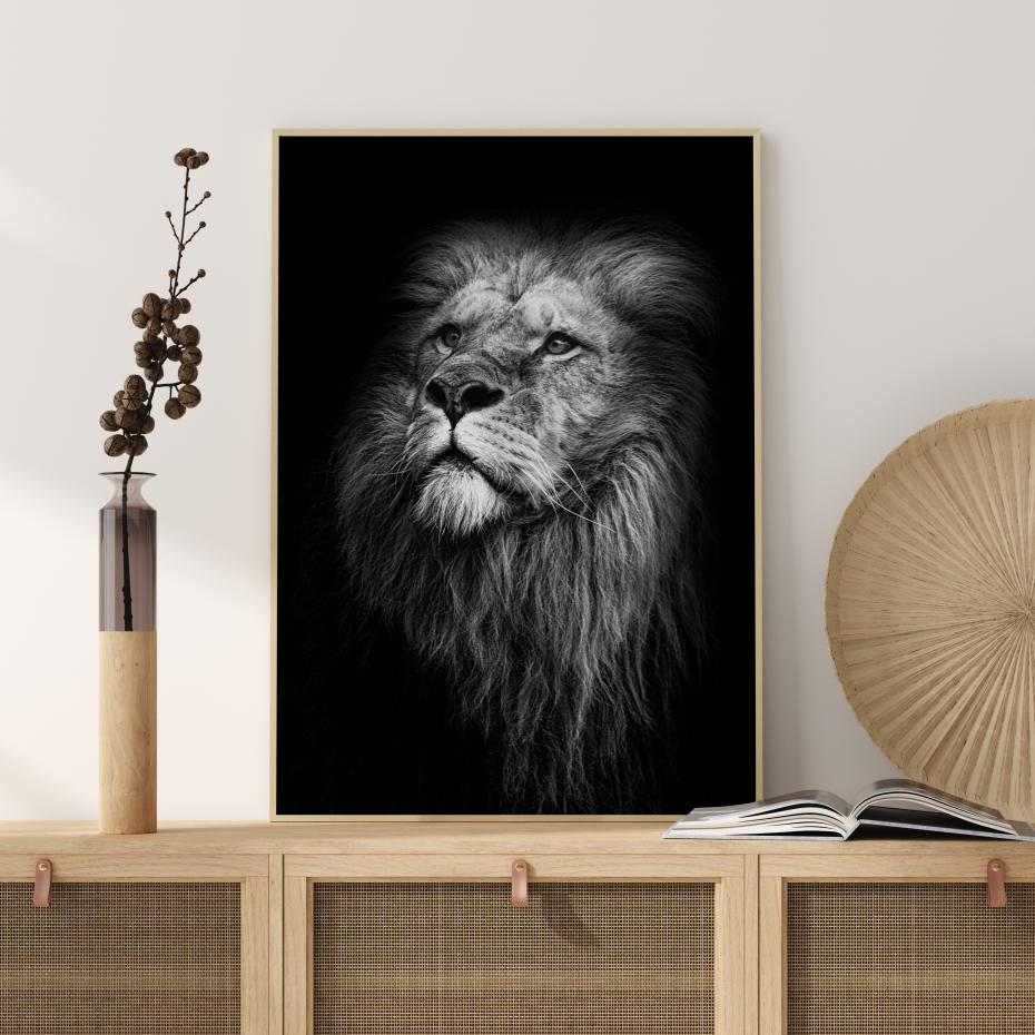 King Of Lions Plakat