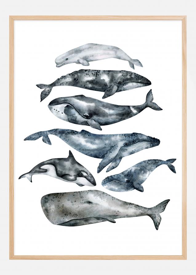 Whales Plakat
