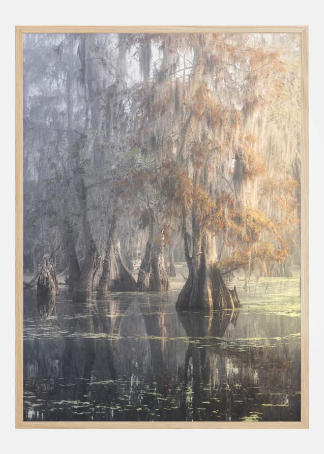 Louisiana Swamp Plakat