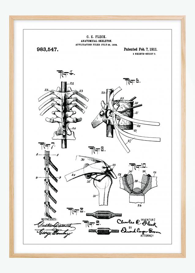 Patenttegning - Skjelett III - Poster Plakat