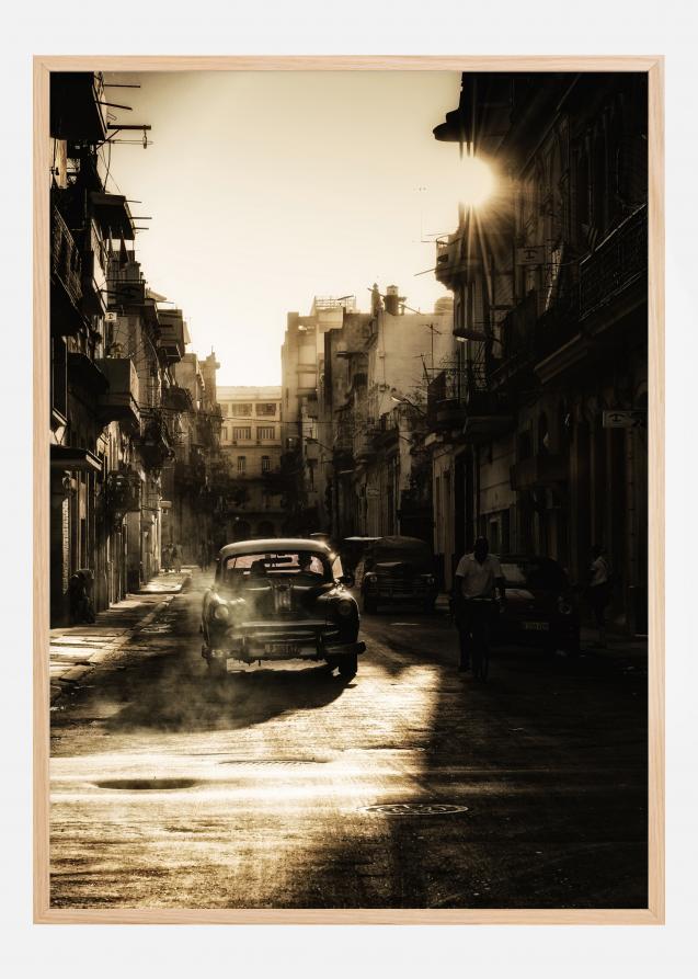 Mystic morning in Havana Plakat