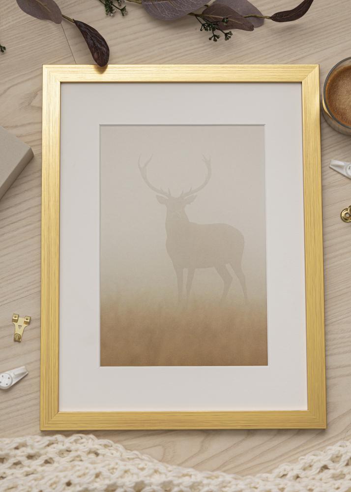Ramme Gold Wood Akrylglass 50x50 cm