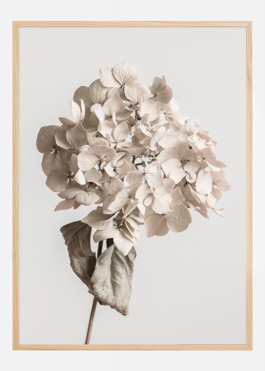 Beige Dried Flower Plakat