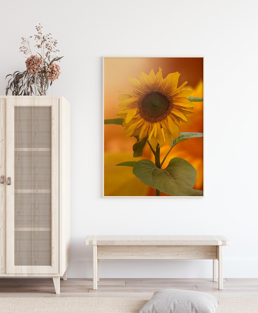 Sunflower Plakat