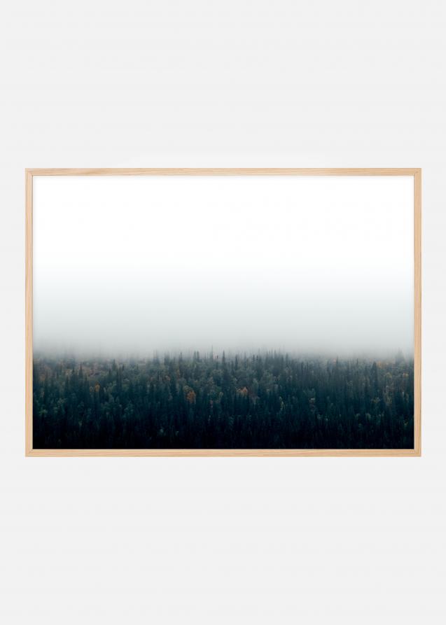 Forests in fog Plakat