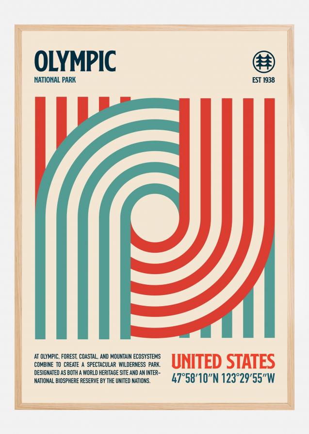 Olympic National Park Travel Poster Plakat