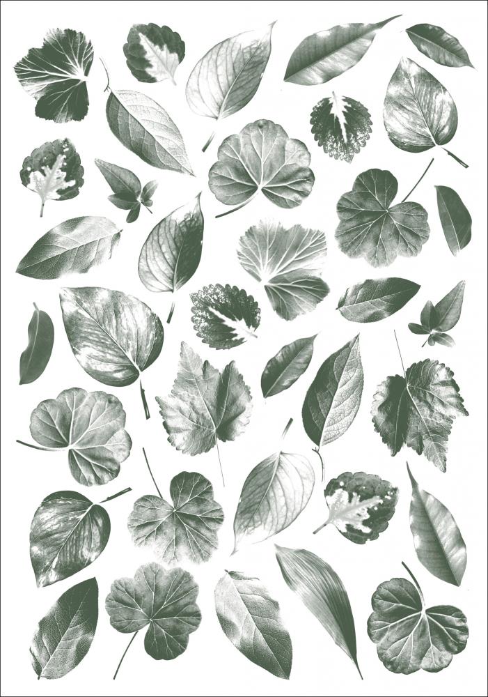 Leaves Plakat
