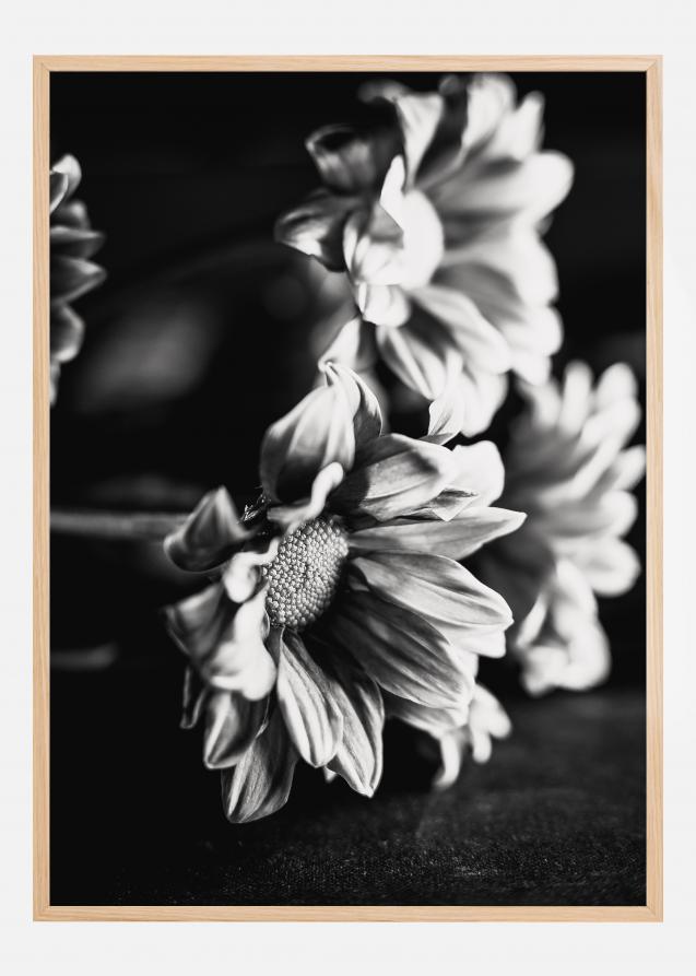 Black and White Flowers Plakat