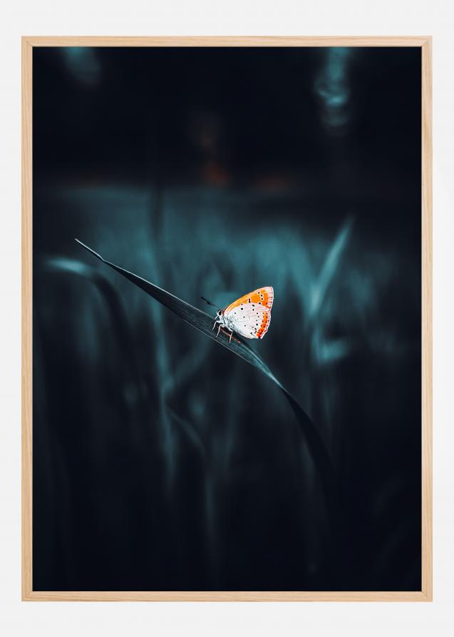 A Lonely Butterfly Plakat