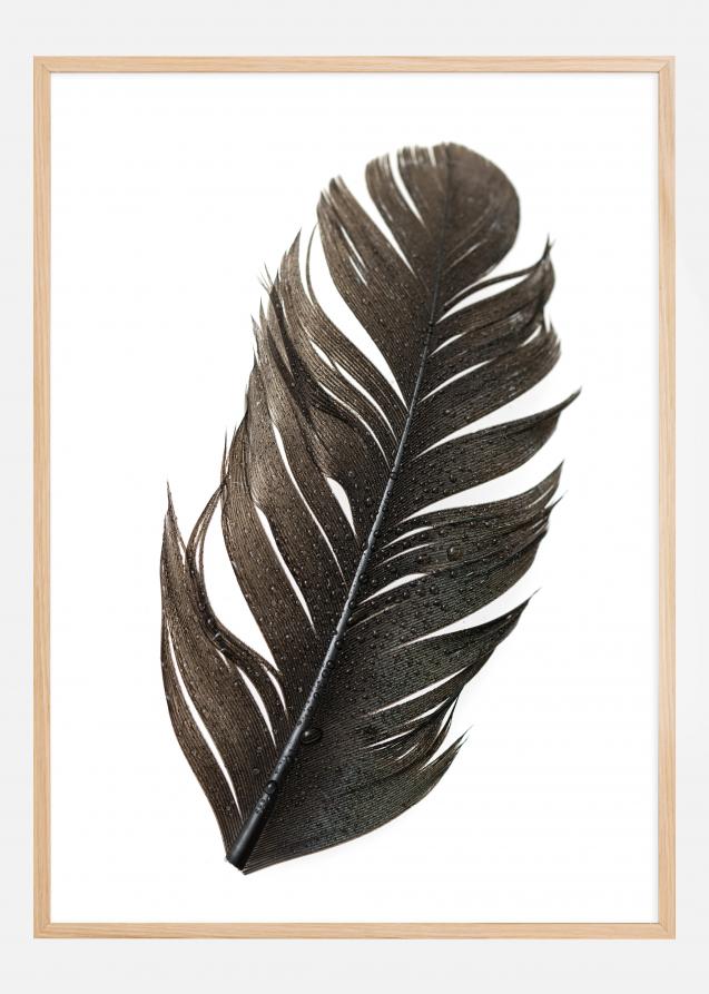 Feather Plakat
