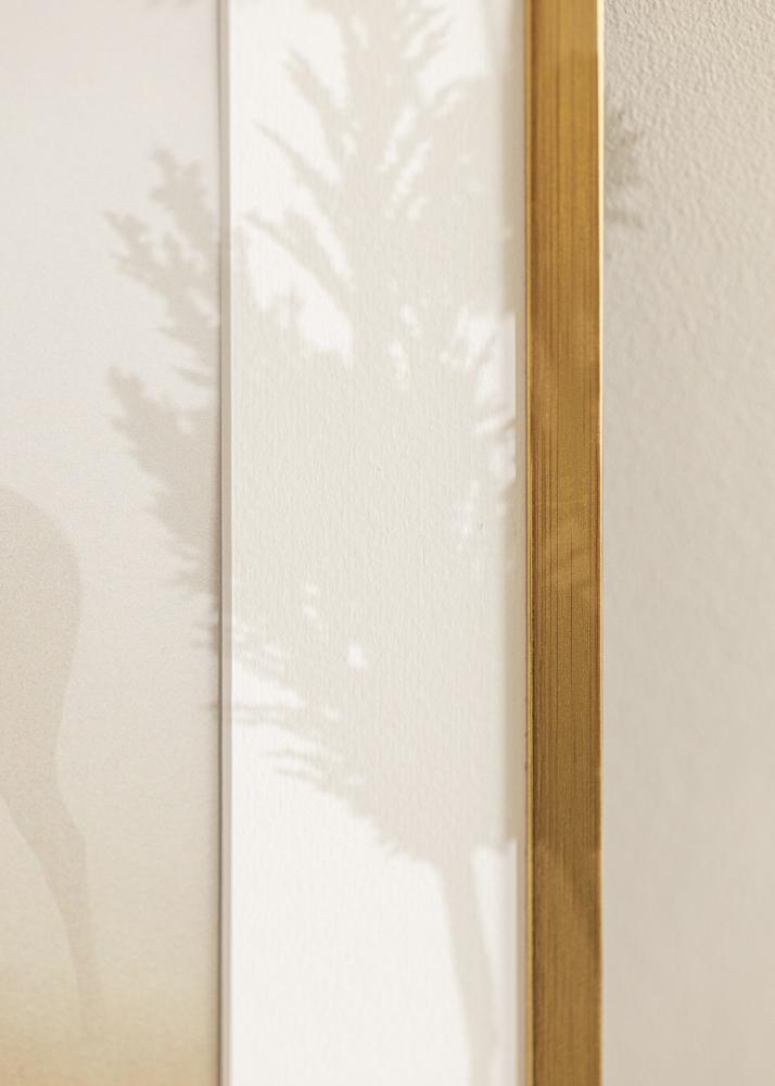 Ramme Edsbyn Akrylglass Gull 12x16 inches (30,48x40,64 cm)