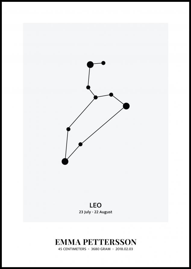 Leo - Stjernetegn