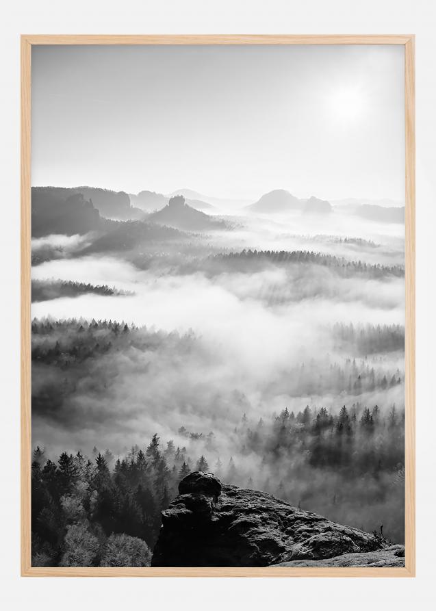 Foggy Forest Black & White I - 50x70 cm Plakat