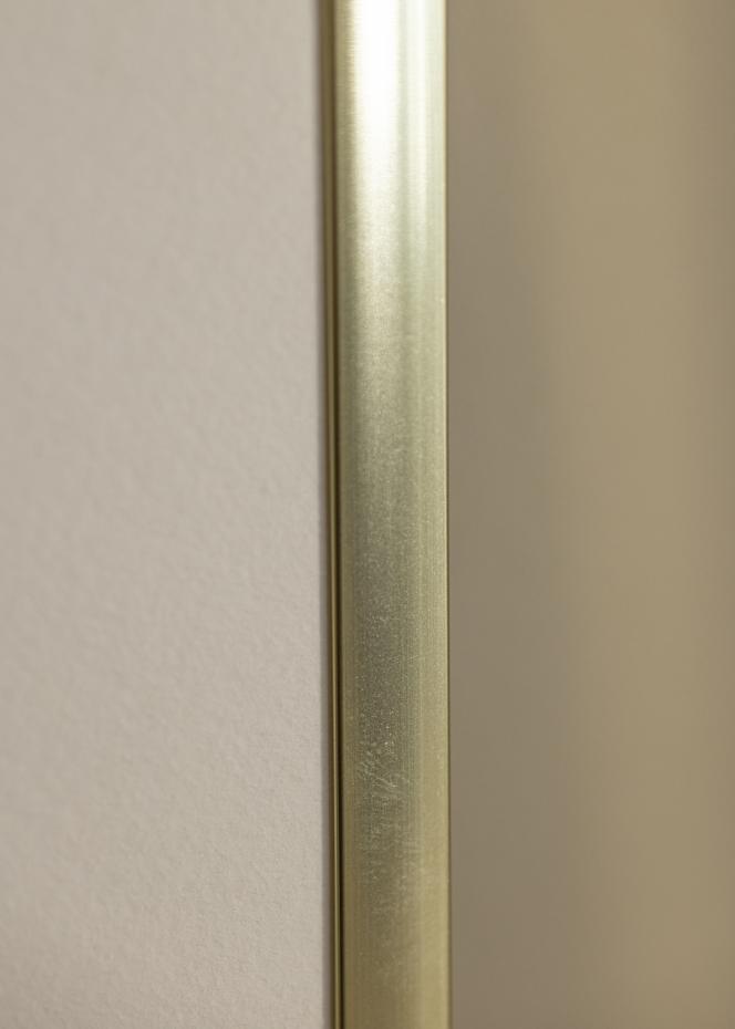Ramme Poster Aluminum Akrylglass Gold 70x100 cm