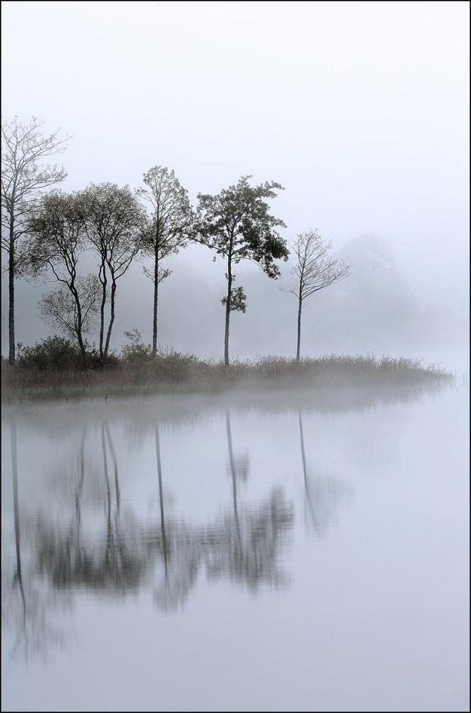 Morning Lake 50x70 cm