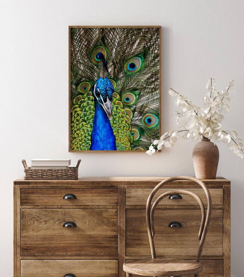 Peacock I Plakat