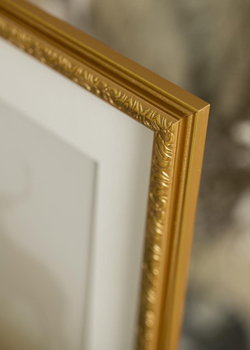 Ramme Nostalgia Akrylglass Gull 30x60 cm