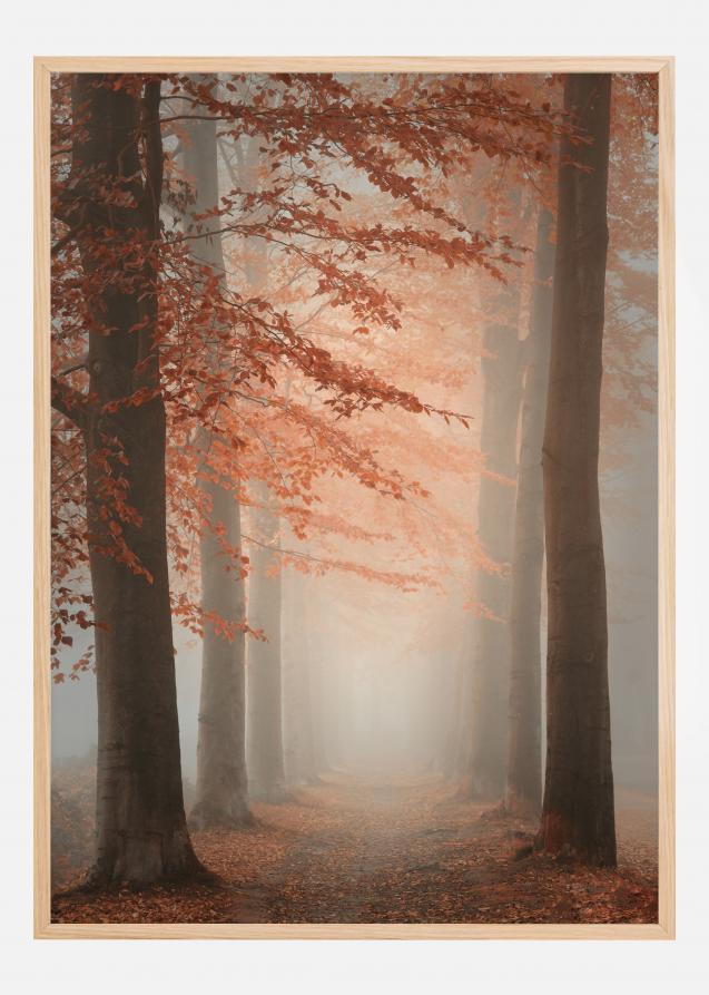 Autumn Dream Plakat