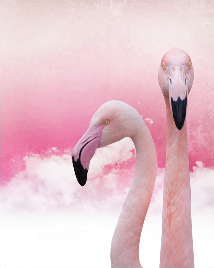Flamingos 40x50 cm