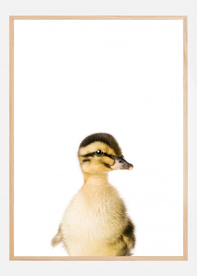 Baby Duck Plakat