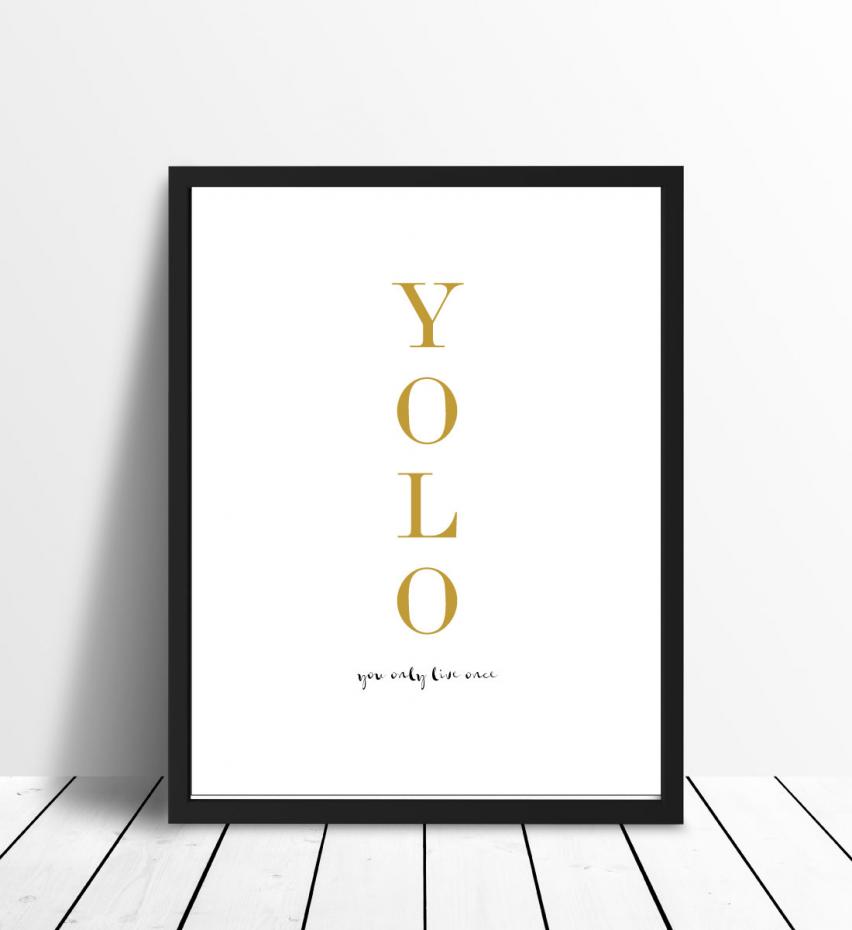 YOLO - You only live once - Gull