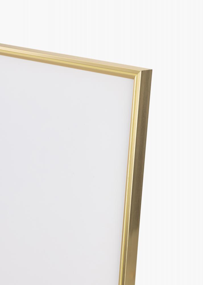 Ramme Hipster Akrylglass Gull 70x100 cm