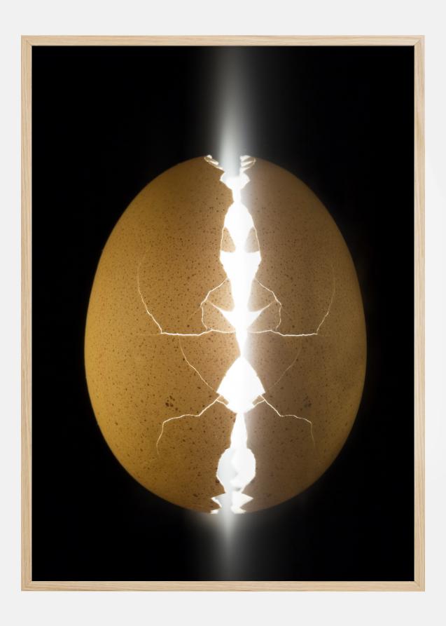 Alien egg Plakat