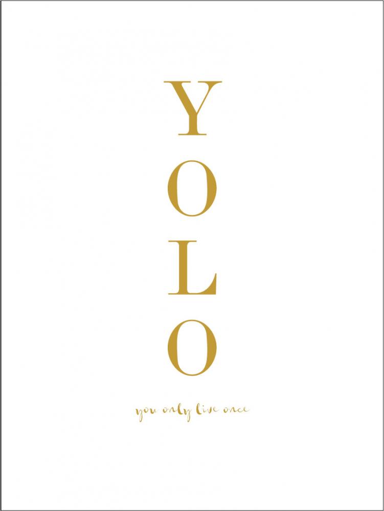 YOLO - You only live once - Gull