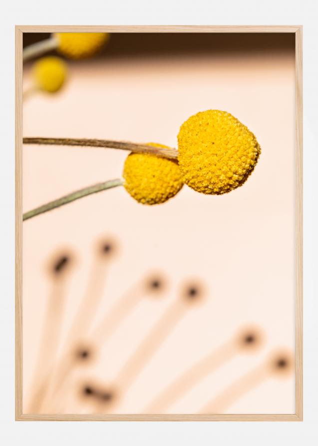 Small Yellow Flowers Plakat