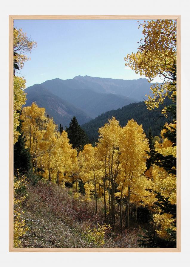 Yellow Trees Plakat