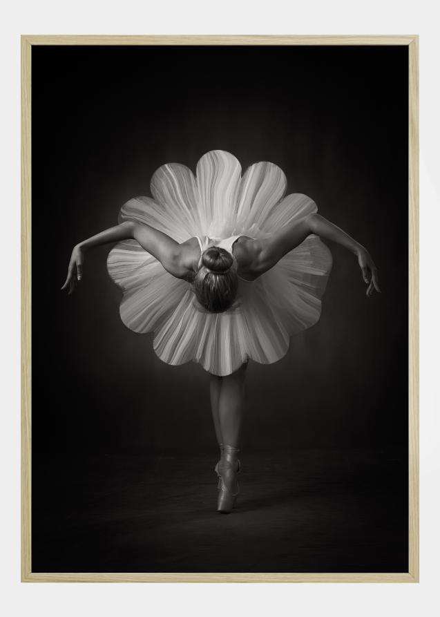 Floral Ballet Plakat