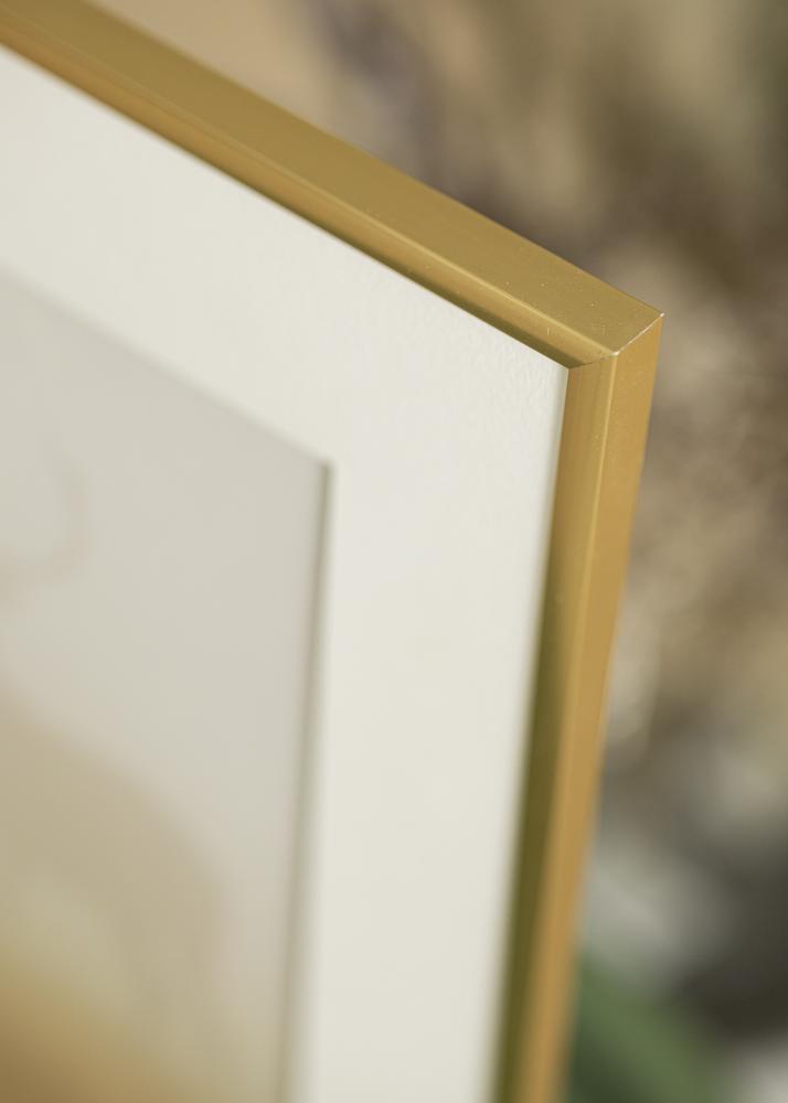 Ramme New Lifestyle Akrylglass Shiny Gold 40x40 cm
