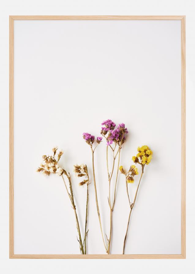 Dried flowers I Plakat