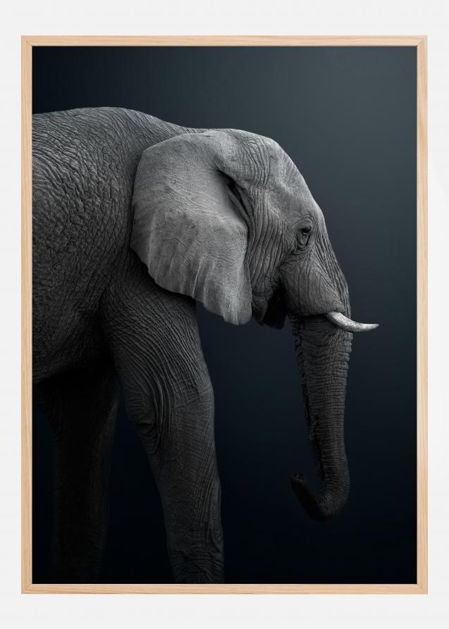 Namibian Elephant Plakat