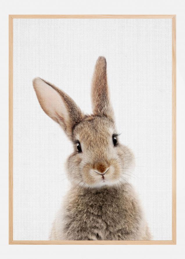 Peekaboo Bunny Plakat