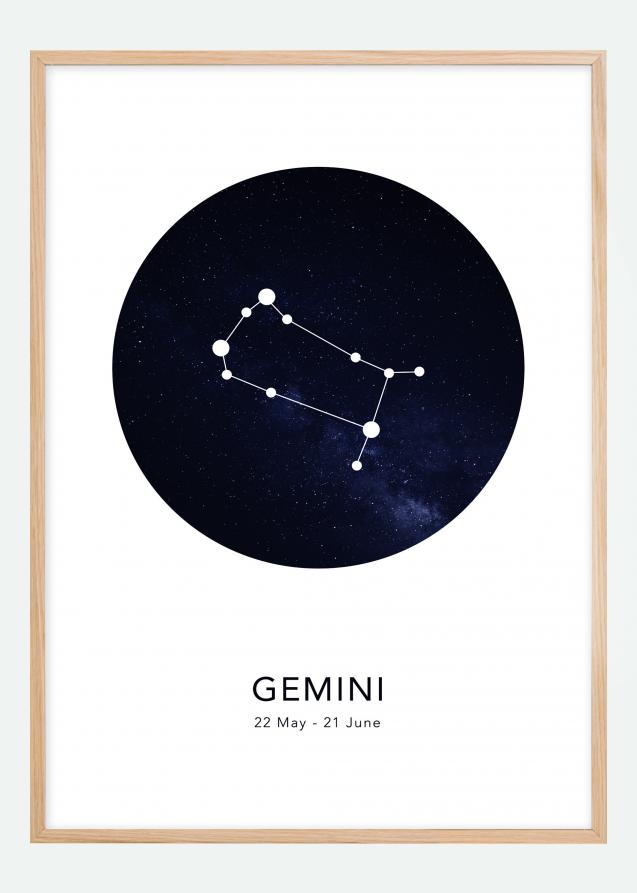 Gemini Plakat