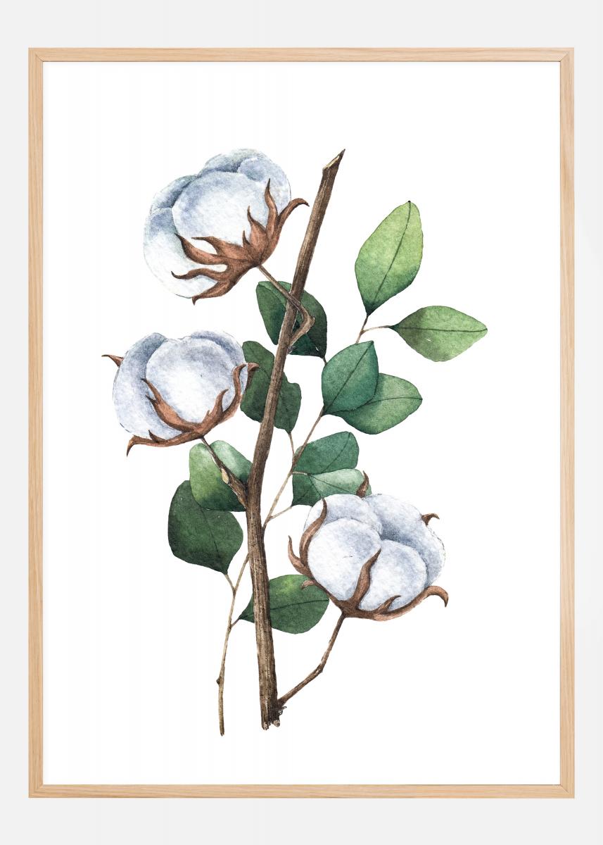 Cotton Flower Plakat