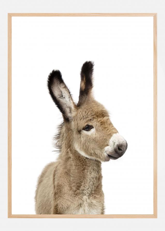 Baby Donkey Plakat