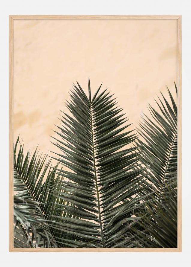 Palm leaves and wall Plakat