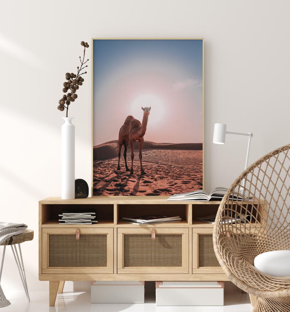 Camel Plakat
