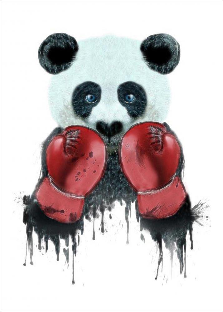 Boxing Panda - 30x40 cm